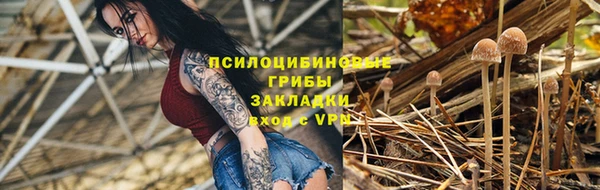 скорость Новодвинск