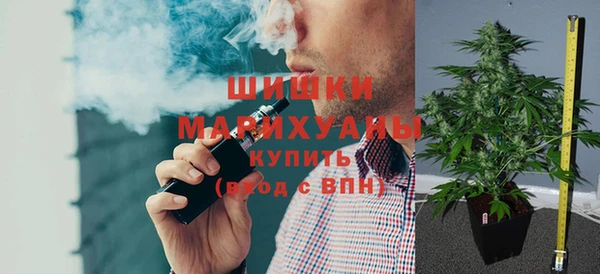 индика Алзамай