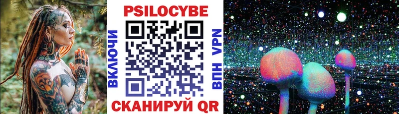 цена   Алапаевск  Галлюциногенные грибы Psilocybine cubensis 